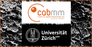 Competence Centre for Applied Biotechnology and Molecular Medicine, University of Zurich