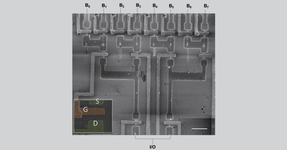 SEM image of a logic circuit based on 14 nanowires