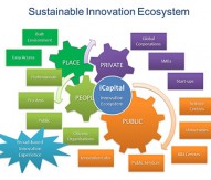 Innovation ecosystem