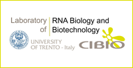 Laboratory of RNA Biology and Biotechnology