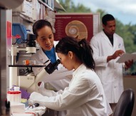 Researchers in laboratory