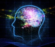 Human Brain Project under threat