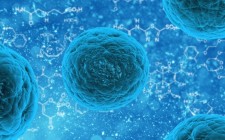 New technique for 3D cell imaging developed