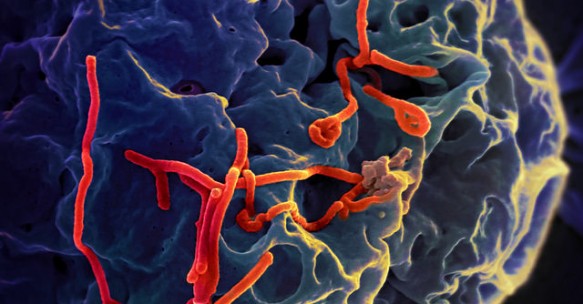 H2020 funds possible Ebola treatment
