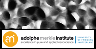 Adolphe Merkle Institute Banner