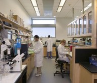 Biomedical Engineering Laboratory