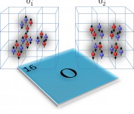 Scientists describe oxygen’s different nuclear shapes