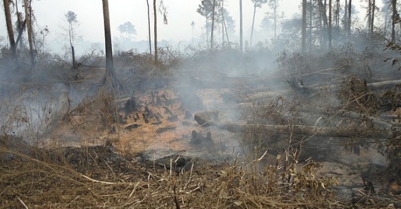 Smouldering peat fires could trigger “unending” climate change